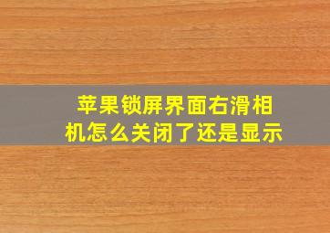 苹果锁屏界面右滑相机怎么关闭了还是显示