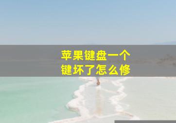 苹果键盘一个键坏了怎么修