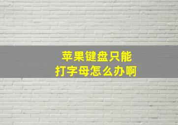 苹果键盘只能打字母怎么办啊