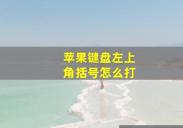 苹果键盘左上角括号怎么打