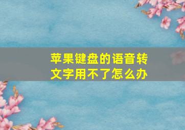 苹果键盘的语音转文字用不了怎么办