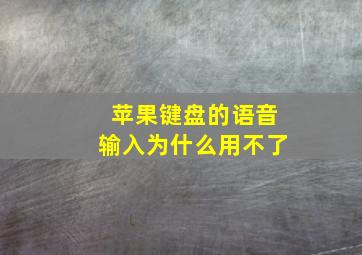 苹果键盘的语音输入为什么用不了