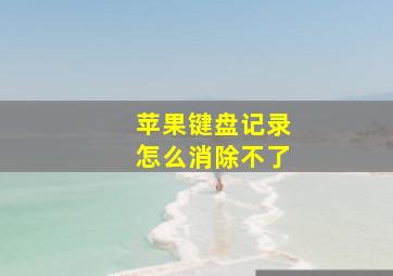 苹果键盘记录怎么消除不了