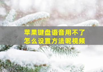 苹果键盘语音用不了怎么设置方法呢视频