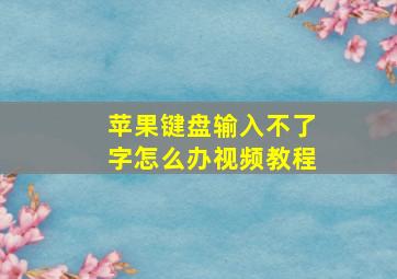 苹果键盘输入不了字怎么办视频教程