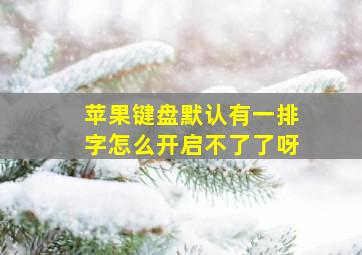 苹果键盘默认有一排字怎么开启不了了呀