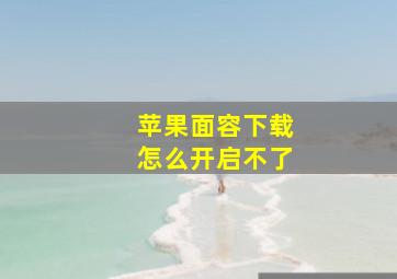 苹果面容下载怎么开启不了