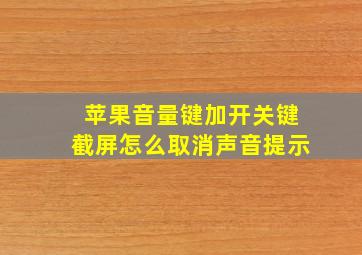 苹果音量键加开关键截屏怎么取消声音提示