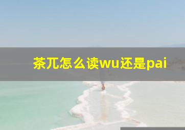 茶兀怎么读wu还是pai