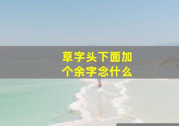 草字头下面加个余字念什么