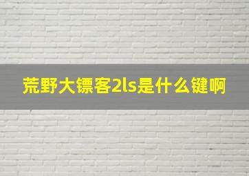 荒野大镖客2ls是什么键啊