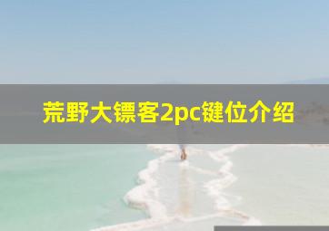 荒野大镖客2pc键位介绍