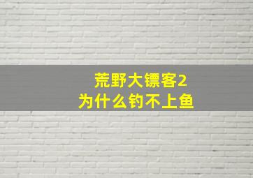 荒野大镖客2为什么钓不上鱼