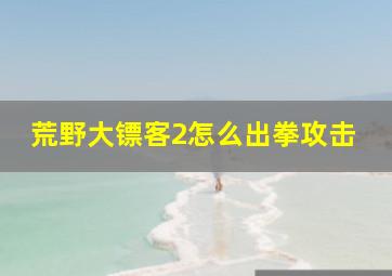 荒野大镖客2怎么出拳攻击