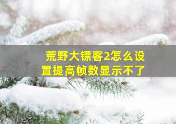 荒野大镖客2怎么设置提高帧数显示不了