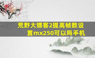 荒野大镖客2提高帧数设置mx250可以吗手机