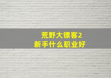 荒野大镖客2新手什么职业好