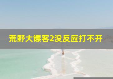 荒野大镖客2没反应打不开