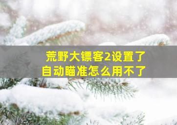 荒野大镖客2设置了自动瞄准怎么用不了