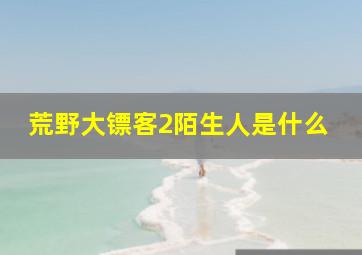 荒野大镖客2陌生人是什么