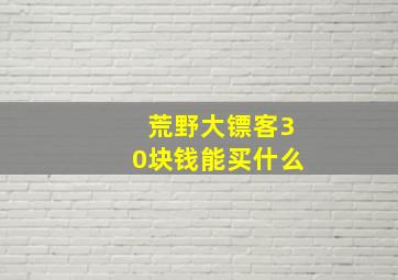 荒野大镖客30块钱能买什么