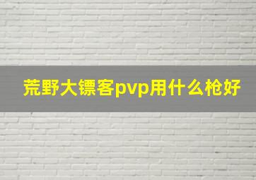 荒野大镖客pvp用什么枪好