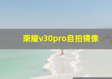 荣耀v30pro自拍镜像