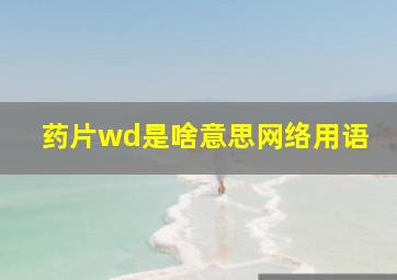 药片wd是啥意思网络用语