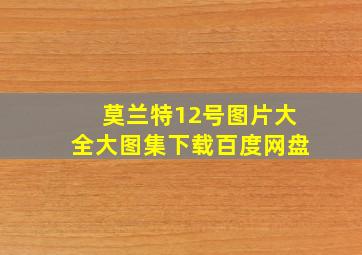 莫兰特12号图片大全大图集下载百度网盘