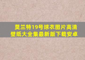 莫兰特19号球衣图片高清壁纸大全集最新版下载安卓