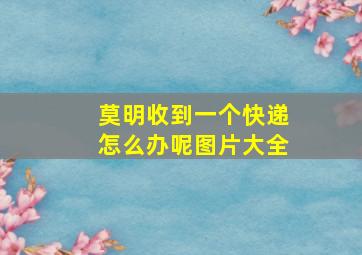 莫明收到一个快递怎么办呢图片大全