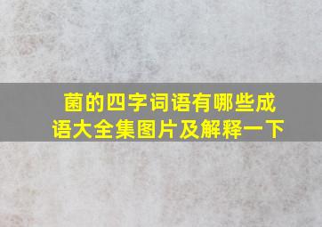 菌的四字词语有哪些成语大全集图片及解释一下