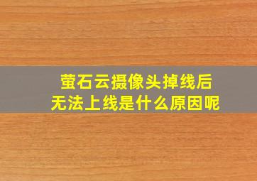 萤石云摄像头掉线后无法上线是什么原因呢