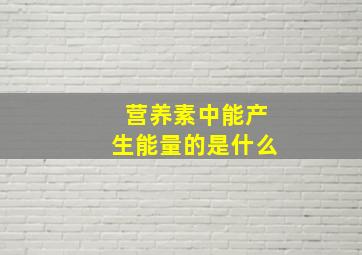 营养素中能产生能量的是什么