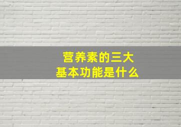 营养素的三大基本功能是什么