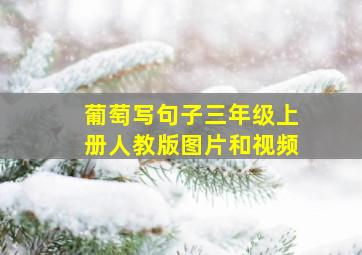 葡萄写句子三年级上册人教版图片和视频