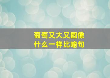 葡萄又大又圆像什么一样比喻句