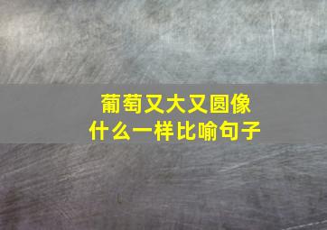 葡萄又大又圆像什么一样比喻句子