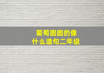 葡萄圆圆的像什么造句二年级