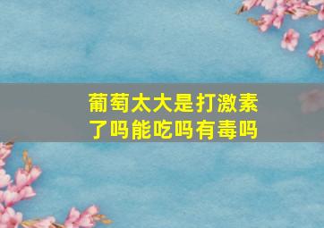 葡萄太大是打激素了吗能吃吗有毒吗