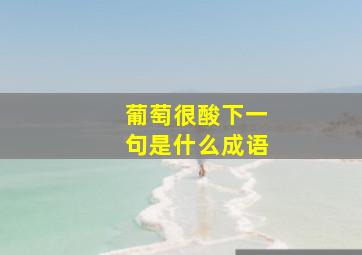 葡萄很酸下一句是什么成语