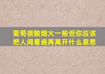 葡萄很酸烟火一般但你应该把人间看遍再离开什么意思