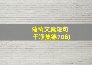 葡萄文案短句干净集锦70句