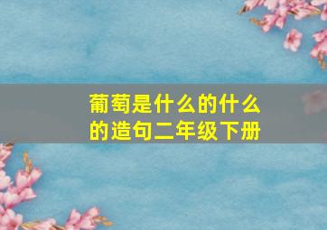 葡萄是什么的什么的造句二年级下册