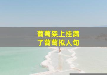 葡萄架上挂满了葡萄拟人句