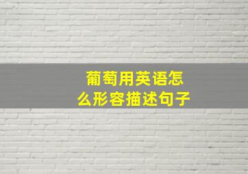 葡萄用英语怎么形容描述句子