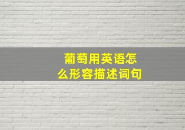 葡萄用英语怎么形容描述词句