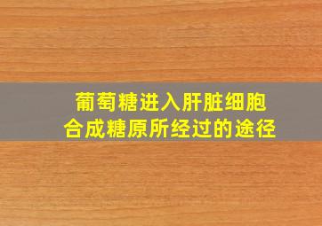 葡萄糖进入肝脏细胞合成糖原所经过的途径