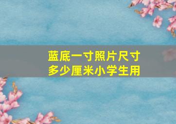 蓝底一寸照片尺寸多少厘米小学生用