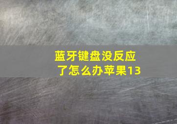 蓝牙键盘没反应了怎么办苹果13